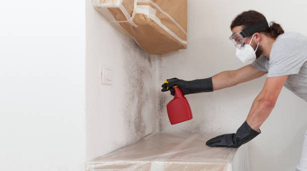Professional Commercial Mold Remediation technician working in Millersburg, OR